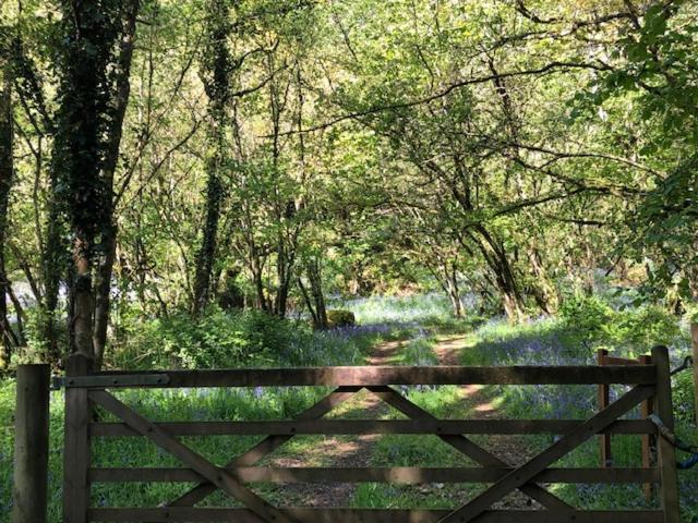 Down The Garden Path Vintage Caravan B&B , Dartmoor นิวตันแอบบ็อต ภายนอก รูปภาพ