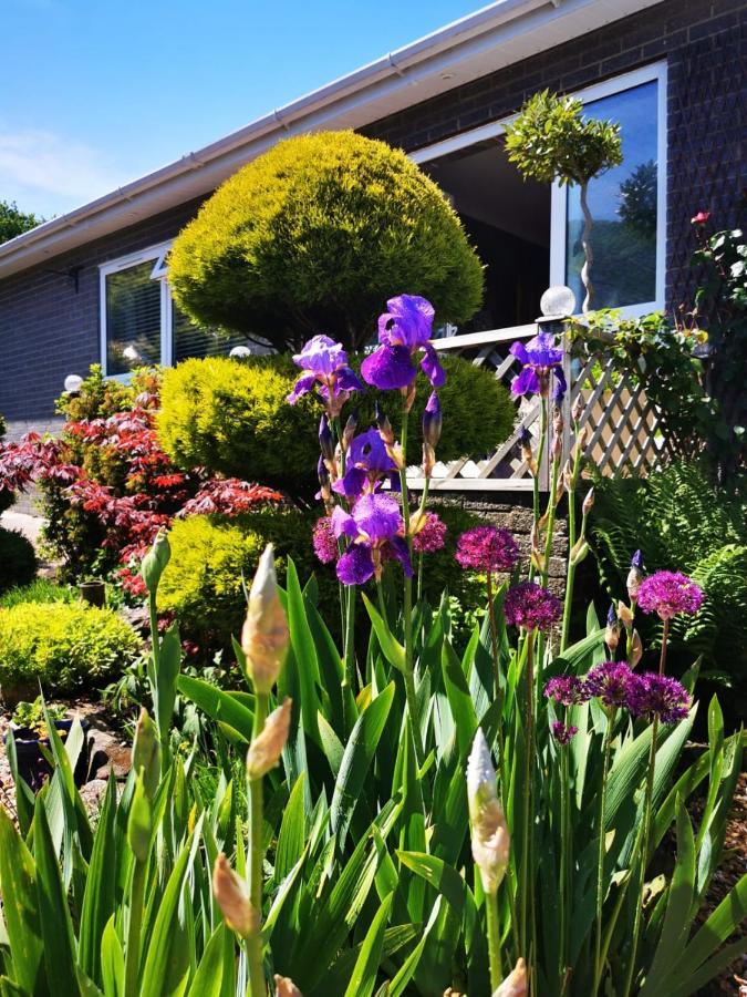 Down The Garden Path Vintage Caravan B&B , Dartmoor นิวตันแอบบ็อต ภายนอก รูปภาพ