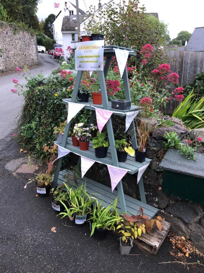 Down The Garden Path Vintage Caravan B&B , Dartmoor นิวตันแอบบ็อต ภายนอก รูปภาพ