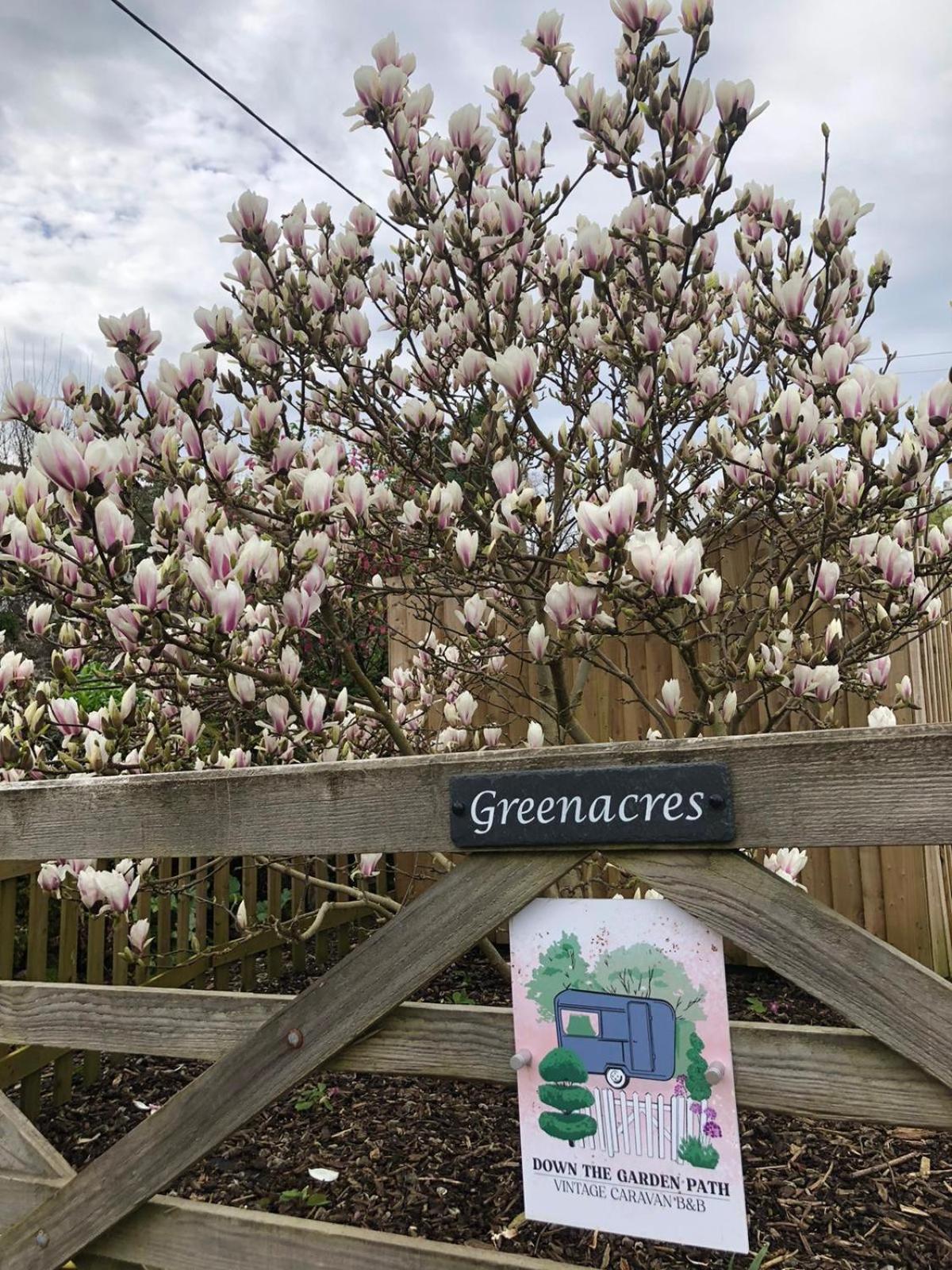 Down The Garden Path Vintage Caravan B&B , Dartmoor นิวตันแอบบ็อต ภายนอก รูปภาพ